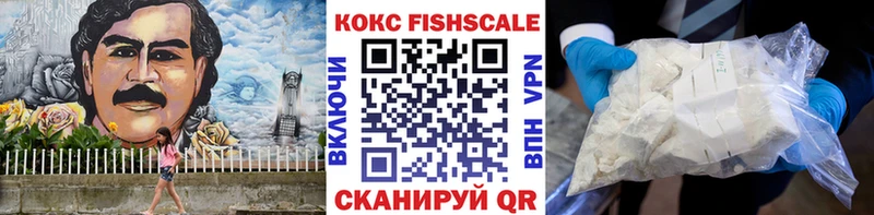 КОКАИН Fish Scale  закладки  Донецк 