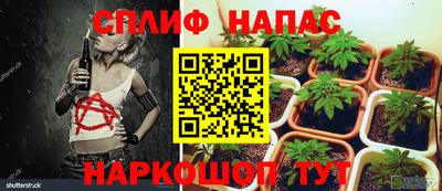 бошки Балашиха