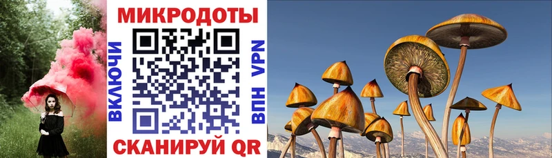 как найти   гидра tor  Псилоцибиновые грибы Psilocybe  Донецк 