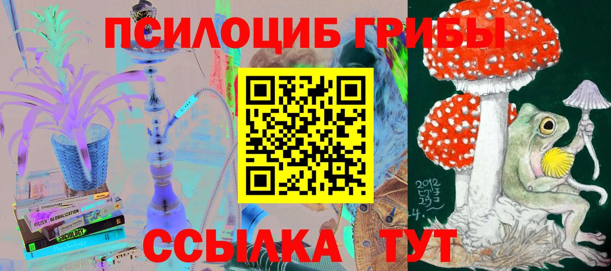 Псилоцибиновые грибы GOLDEN TEACHER Донецк