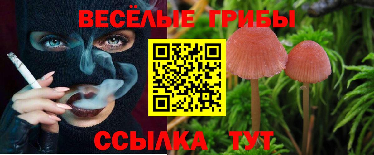 Галлюциногенные грибы прущие грибы  Вход с VPN  Псилоцибиновые грибы Psilocybe  цена   Донецк 