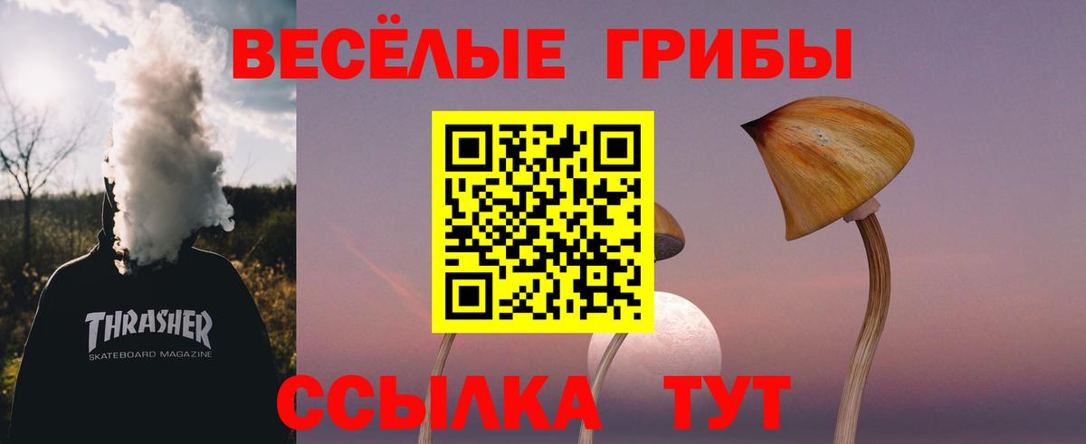 Псилоцибиновые грибы Psilocybe  Псилоцибиновые грибы Cubensis  Донецк 